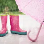 תמונה: גמ"ח שערי מלכה