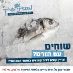 תמונה 2 בגלריה