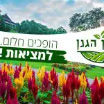 תמונה 2 בגלריה