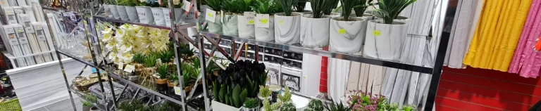 ביבי סטוק