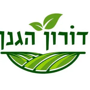 הלוגו של היום