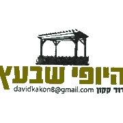 הלוגו של היום