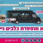 תמונה 5 בגלריה