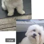 תמונה 13 בגלריה