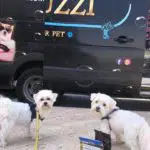 תמונה 14 בגלריה