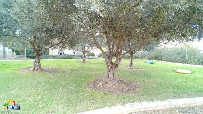 גינת טוניק - גן משחקים בפסגת זאב, תמונה 1 מתוך 7
