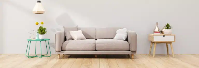 Y.N clean אחזקות