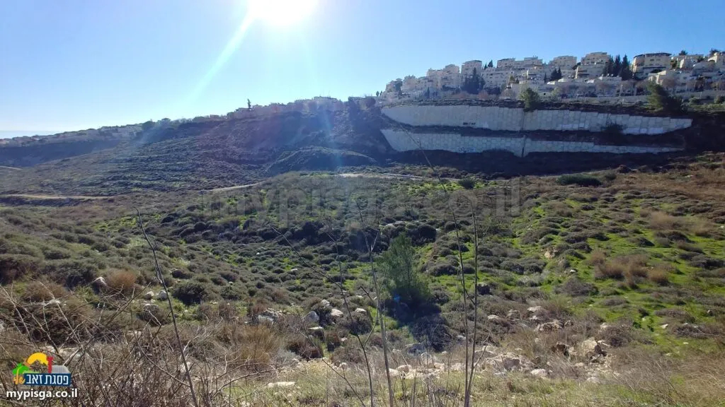 ואדי רחב וירוק בבוקר חורף: מדרון של עשב, שיחים נמוכים וסלעים לבנים, דרך עפר שחוצה אותו, ומעליו קיר תמך לבן ובנייני אבן על הרכס. השמש בפינה העליונה