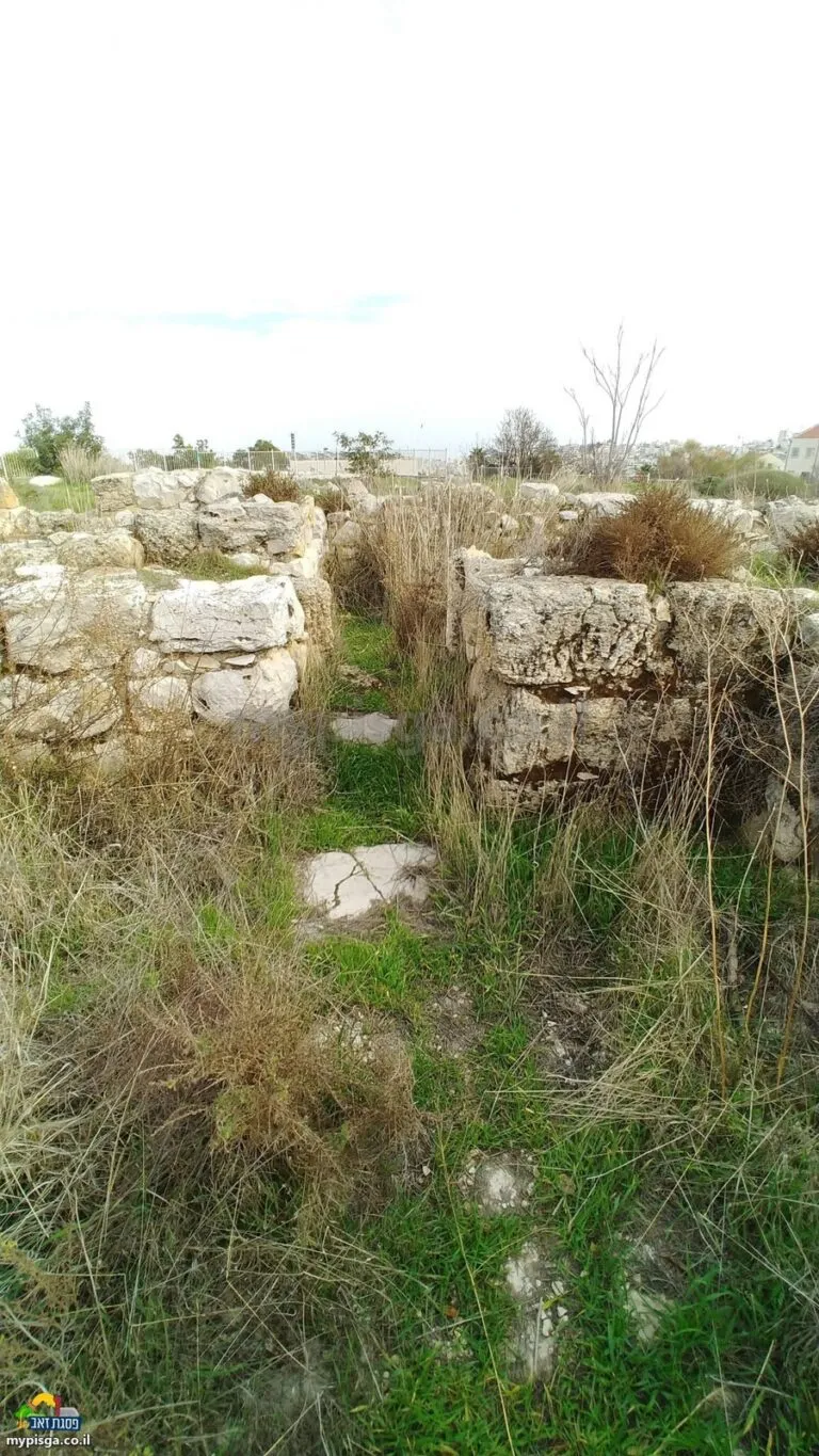 מעבר צר בין שני קירות אבן, ובתוך העשב אבנים שטוחות