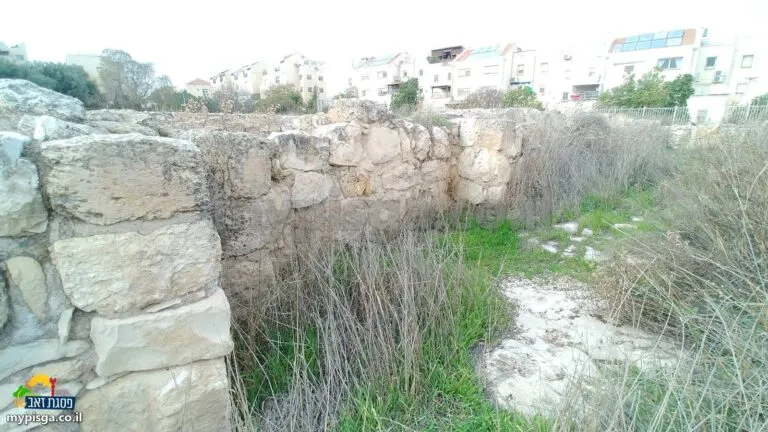 פינה של חדר עם קיר אבן גבוה, עשב יבש, ובתים ברקע