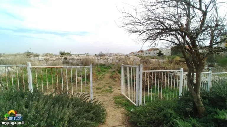 שער מתכת לבן ושביל עפר שמוביל אל שטח העתיקות, עם עץ ושיחים בצד