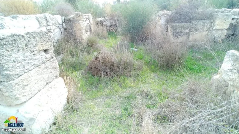 בתוך אחד החדרים: גושי אבן גדולים בקיר ועשב ירוק ויבש