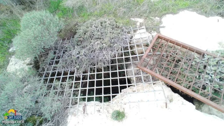 שני סורגי ברזל מעל פתח של בור חצוב בסלע, וצמחייה סביבו