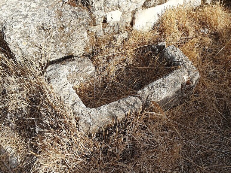 אבן חצובה בצורת שוקת מלבנית, מלאה בעשב יבש