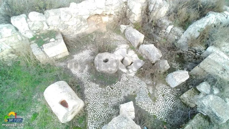 רצפת פסיפס לבנה מאבנים קטנות, ועליה אבן עגולה עם חור במרכז, אבן גלילית עם שקע ואבנים נוספות, בין קירות אבן ועשב
