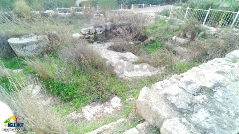 שרידי קירות אבן בתוך העשב, ופיסה לבנה של פסיפס על הקרקע