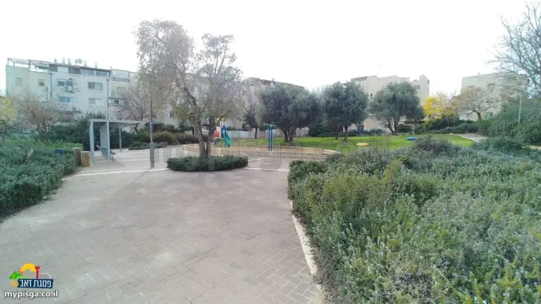 שביל מרוצף בגינת טוניק בין שיחים ירוקים ועצי זית, ובניינים ברקע