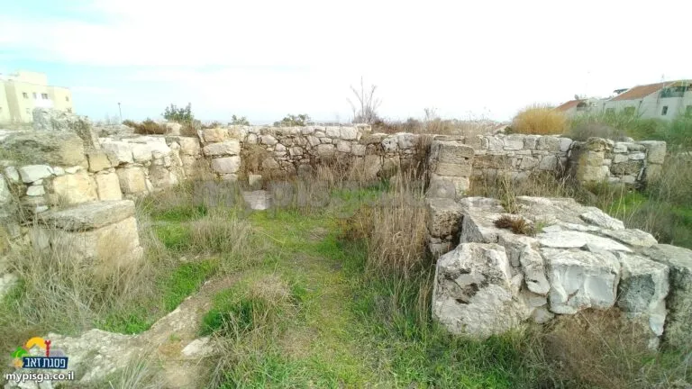 קירות אבן של כמה חדרים, גושי אבן מסותתים ועשב ירוק ביניהם, ובתים ברקע