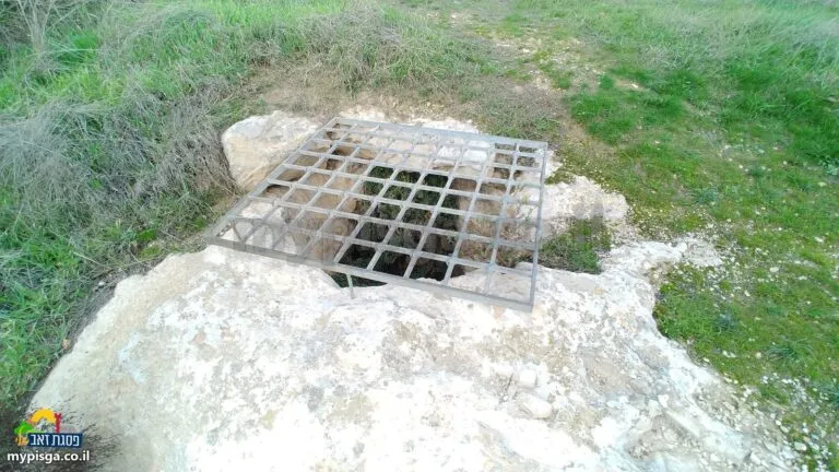 סורג ברזל מעל פתח של בור בסלע לבן, בתוך דשא