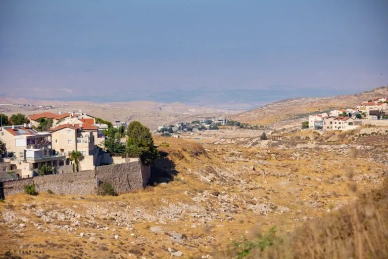 נחל זמרי: מסלולים, צבאים ופארק הטבע העירוני