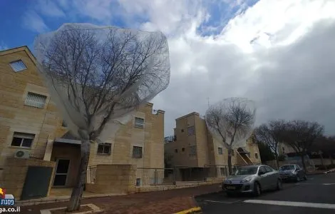 20220206_093007