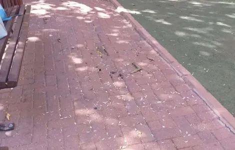 מכתב מלב אל לב מתושבת השכונה