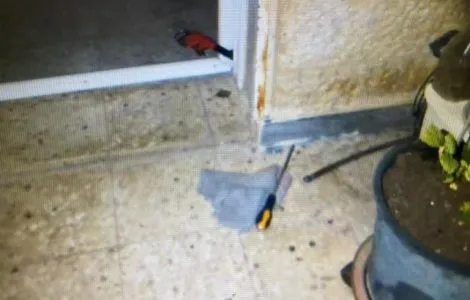 קרדיט לצילום: דוברות המשטרה