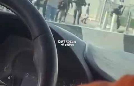 מסתערבים