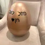 תמונה 12 בגלריה