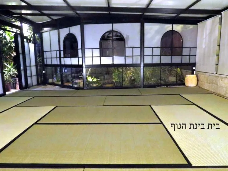 בינת הגוף