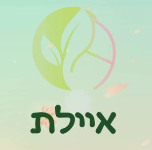 הלוגו של היום