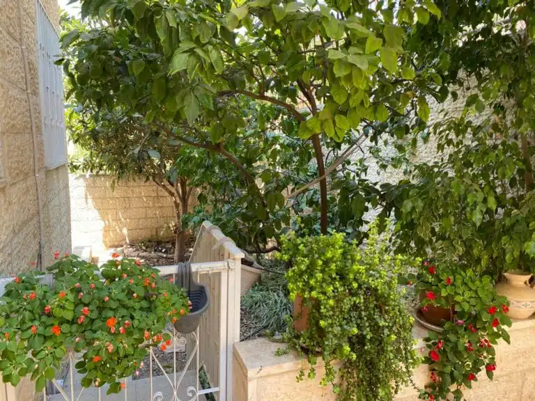 דירת 4 חדרים למכירה ברחוב זאב שרף, פסגת זאב מזרח